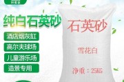 石英砂净水器漏砂的修理方法（解决漏砂问题的有效措施与技巧）