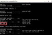 掌握查找网站IP地址的方法（了解网络安全必备的命令技能）