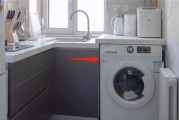 洗衣机不排水的原因及解决方法（探究洗衣机不排水的原因）