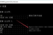 通过CMD查询IP地址的方法及使用技巧（使用CMD命令快速准确查询IP地址信息）