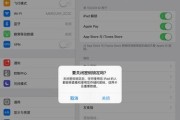 忘记iPhone密码怎么办（从容应对iPhone密码忘记问题）