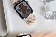 苹果手表AppleWatchSE（探究AppleWatchSE的实用性和性能）