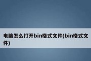 Bin文件格式及其应用领域（探索Bin文件的结构和用途）