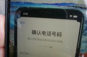 解决iPhone忘记ID密码的方法（忘记iPhoneID密码怎么办）