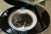 解决洗衣机光洗不脱水的常见问题（以洗衣机不脱水为主题）