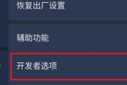 小米开发者选项设置教程（掌握小米开发者选项的设置方法）