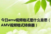 AMV视频格式转换器推荐（选择适合你的AMV视频格式转换器）