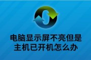 电脑屏幕不亮但主机仍在运行解决方法（解决电脑屏幕不亮的简单方法）