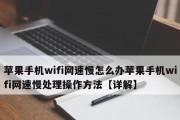 苹果手机连WiFi网速很慢问题的解决方法（快速提升苹果手机WiFi连接速度的关键技巧）