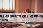 鼠标不亮的原因及解决方法（为什么鼠标不亮了？如何解决？）