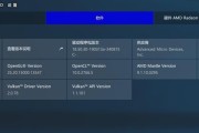 如何安装AMD显卡驱动到电脑（简单步骤帮你安装AMD显卡驱动程序）