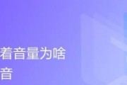 电脑系统声音突然消失解决方法（探究电脑系统声音突然消失的原因及解决办法）