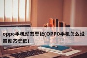 Oppo主题设置教程（简单步骤帮您打造个性化主题）