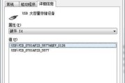 USB大容量存储设备故障及解决方法（应对大容量存储设备失效的关键技巧）