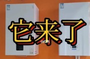 贝雷塔壁挂炉E1故障解决方法（怎样处理贝雷塔壁挂炉显示E1故障）