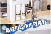 如何正确保养净水器以确保水质安全（掌握关键保养方法）