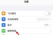 苹果发短信无法选择副号的问题（解决苹果手机发短信无法选择副号的方法）