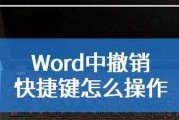 苹果电脑撤回操作快捷键是什么？如何快速撤销错误输入？