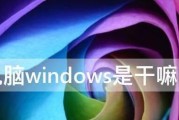 电脑Windows系统的功能与用途（探索Windows系统的多样化功能与实用价值）