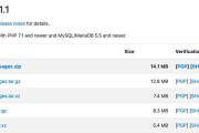 MySQL数据库安装包的大小对数据库运行的影响（探讨MySQL安装包大小与数据库性能之间的关系）