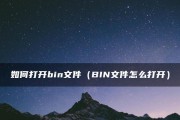 如何删除bin文件夹？（简单有效的方法帮你轻松清除无用的bin文件夹）