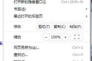 电脑网页显示过小问题的解决方法（如何调整电脑网页显示大小）