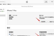 如何开启苹果手机的分屏功能（一步步教你打开iPhone的分屏模式）