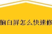 电脑白屏问题解决方法大全（电脑白屏故障原因分析与解决办法）