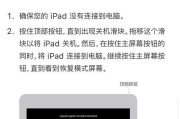 为什么我的iPad停用了（探索iPad停用的常见原因及解决方法）