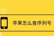 掌握苹果产品序列号查询技巧，了解产品真伪与保修情况（解密序列号查询，保护您的购买权益与隐私）