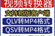 用SWF转换成MP4的方法及步骤（将SWF文件转换为通用的MP4视频格式，方便播放和共享）