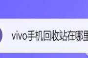 手机回收站误删恢复技巧（从手机回收站恢复误删文件的实用方法）