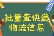 快递查询方法大揭秘（掌握这些方法，快递信息一目了然）