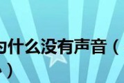 为什么打电话录屏没有声音？（探究手机录屏过程中声音缺失的原因及解决方法）