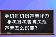 手机麦克风无声解决方法（如何设置手机麦克风以恢复声音）