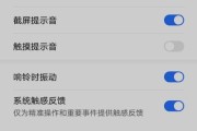 为什么以按键音打开却没有声音（探究按键音功能失效的原因与解决方法）