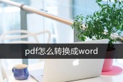 电脑怎样将pdf格式转化为word格式（关于word转换成word免费版）