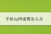 家庭网速慢的原因及解决方法（探寻家庭网络连接变慢的根源与解决方案）