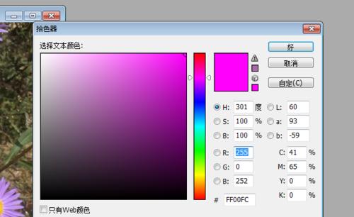 照片文字添加的艺术之美（探索照片中文字的无限创意）