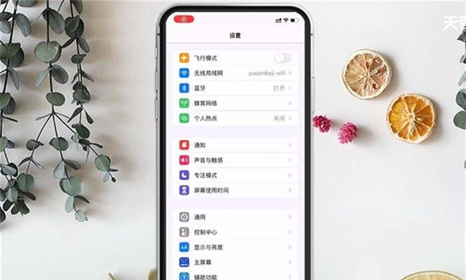 如何查看iPhone手机网速（了解你的网络速度，优化上网体验）