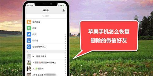 苹果iPhone程序App退款教程（简单步骤帮助您申请苹果App退款，保障您的消费权益）