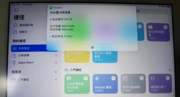 如何查询iPad电池寿命（简单步骤帮助您轻松了解iPad电池寿命情况）