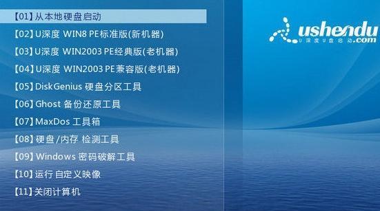 戴尔电脑U盘启动教程（详解戴尔电脑如何使用U盘进行启动安装系统）