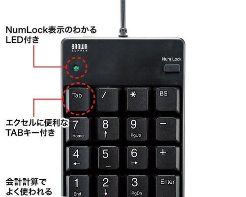 电脑数字键无法输入数字的解锁方法（解决数字键无法输入数字的有效技巧）