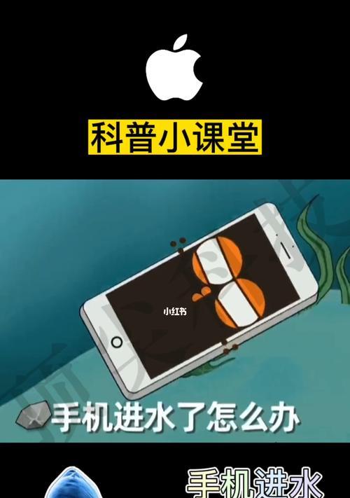 iPhone进水错误处理方法（保护您的iPhone，正确应对进水问题）