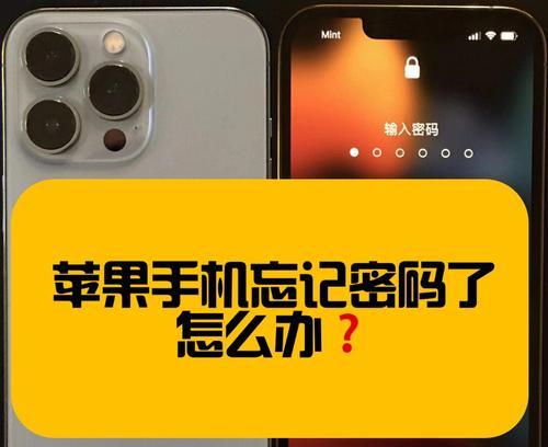 如何使用iPhone收集图片（详细步骤帮助您轻松收集和整理照片）