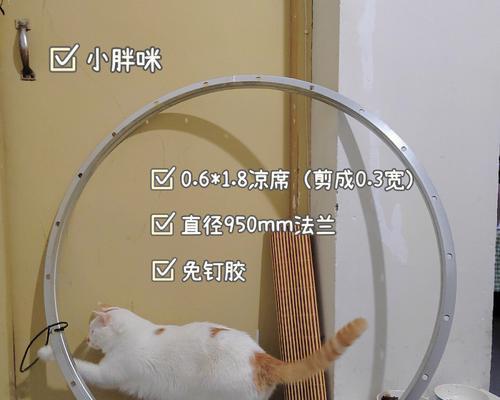 解决猫咪不玩跑步机的问题（如何激发猫咪对跑步机的兴趣和参与度）