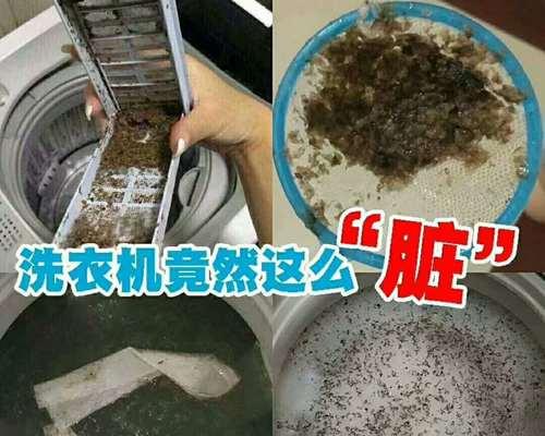 如何正确清洗油烟机（掌握清洗技巧）