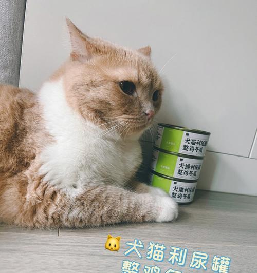 冬天猫不爱喝水怎么办（探讨冬季猫咪不爱喝水的原因及解决方法）