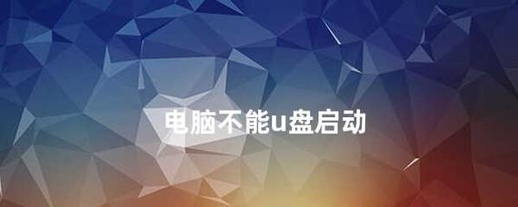 使用U盘重新安装电脑系统的影响及注意事项（探究新手使用U盘重装电脑系统的利弊和问题）